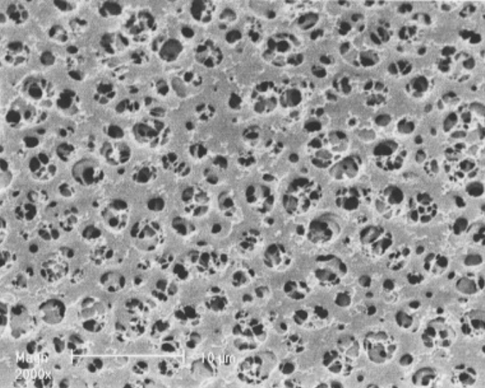 Membrana de Celulosa de Acetato, 25mm