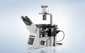 Microscopio Invertido IX-53