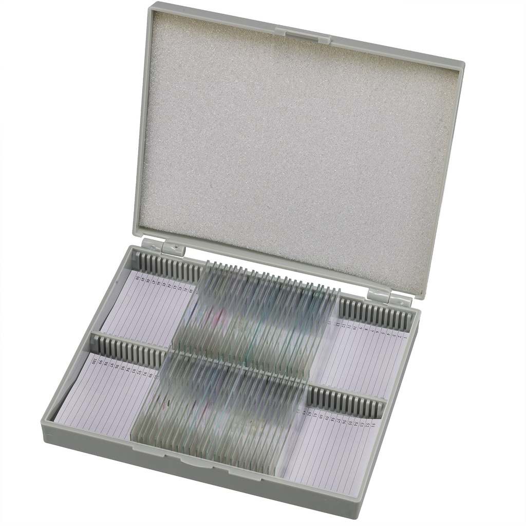 2-Set de láminas de microscopio de histología