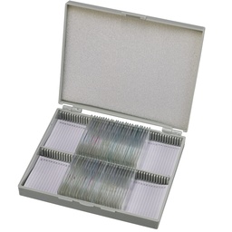 [311974] 2-Set de láminas de microscopio de histología